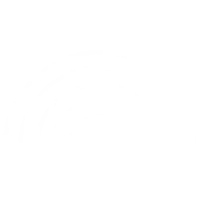 vantage icon fast white vantage icon fast white